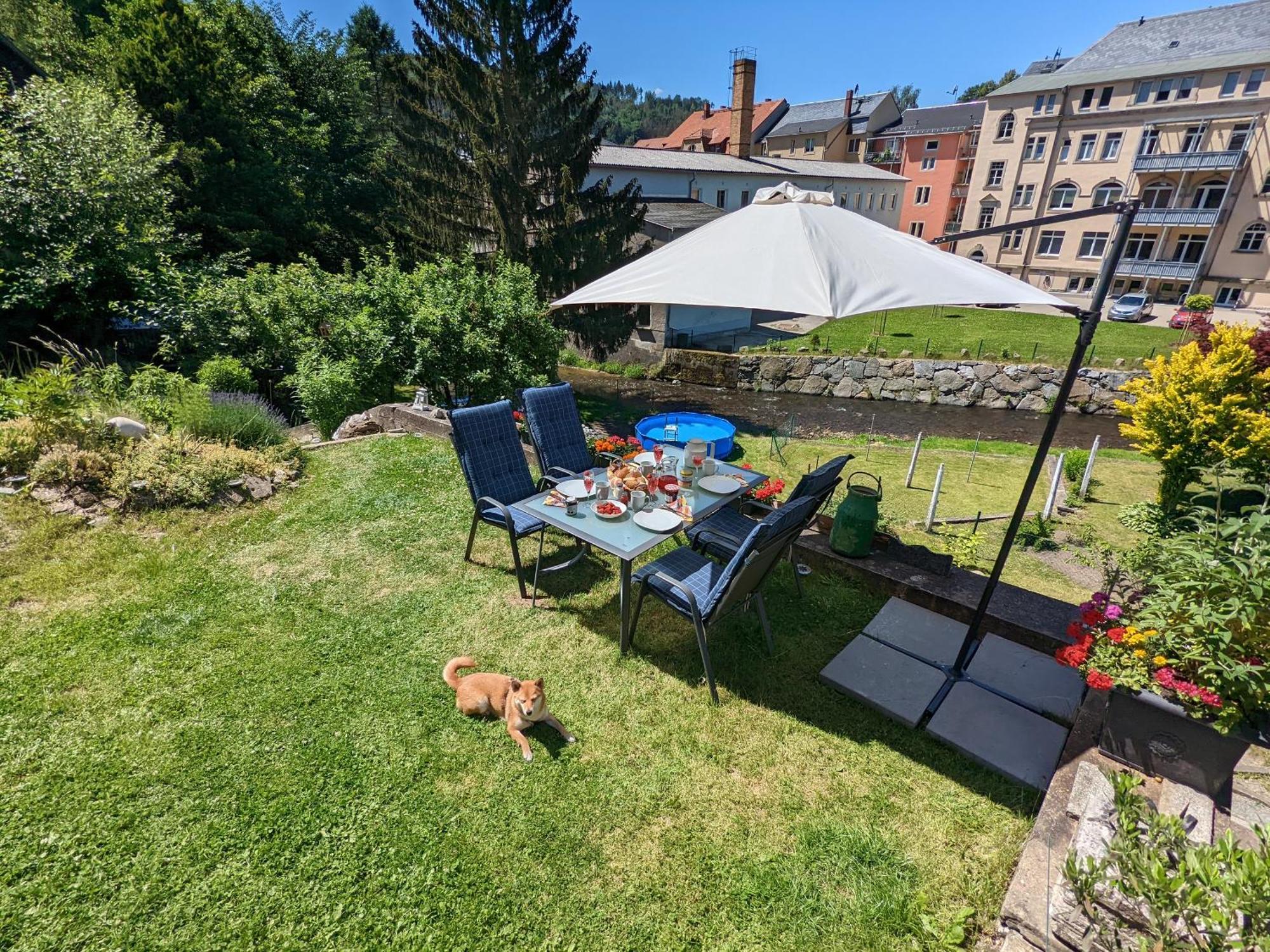 Zi1 - Urlaubsmagie - Erholung Mit Whirlpool & Sauna Sebnitz Exteriér fotografie